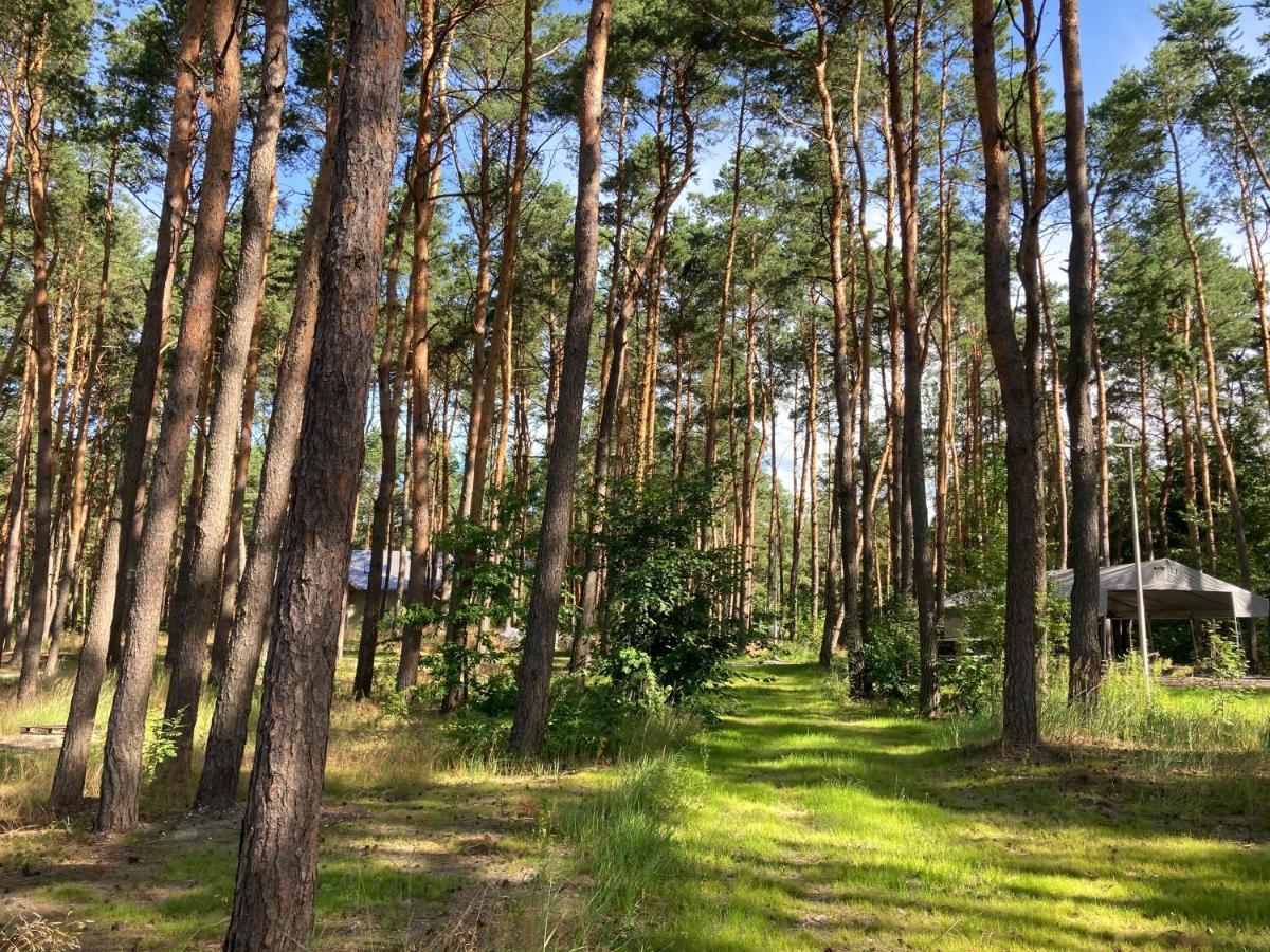 Gora Spokoju Osada Klimatyczna-Lesna Inowlodz Dış mekan fotoğraf