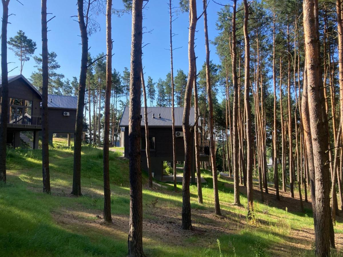 Gora Spokoju Osada Klimatyczna-Lesna Inowlodz Dış mekan fotoğraf