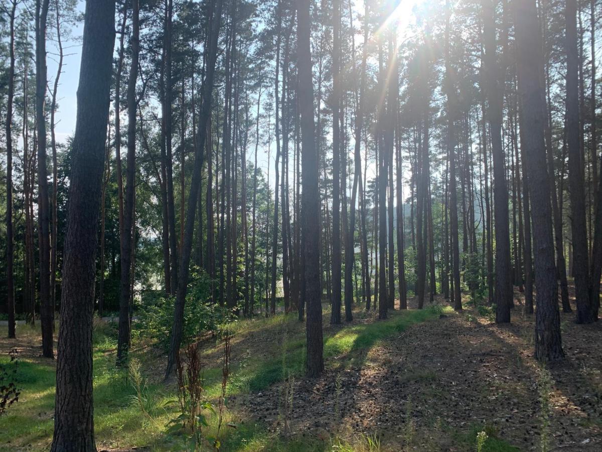 Gora Spokoju Osada Klimatyczna-Lesna Inowlodz Dış mekan fotoğraf
