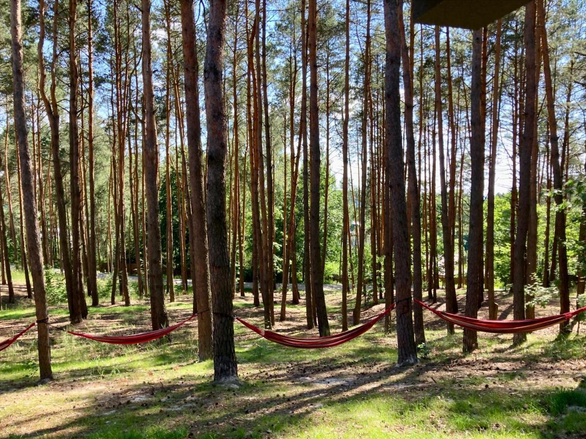 Gora Spokoju Osada Klimatyczna-Lesna Inowlodz Dış mekan fotoğraf