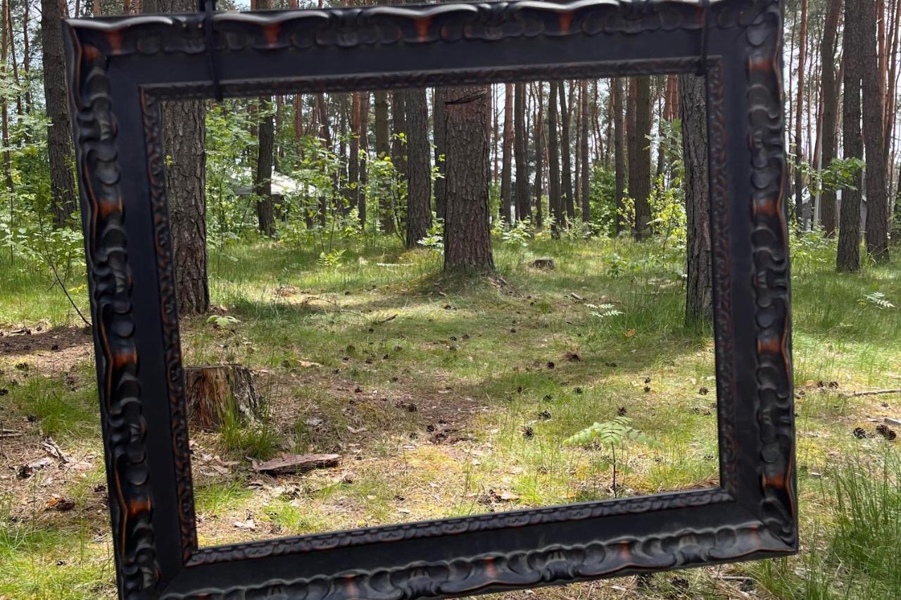 Gora Spokoju Osada Klimatyczna-Lesna Inowlodz Dış mekan fotoğraf